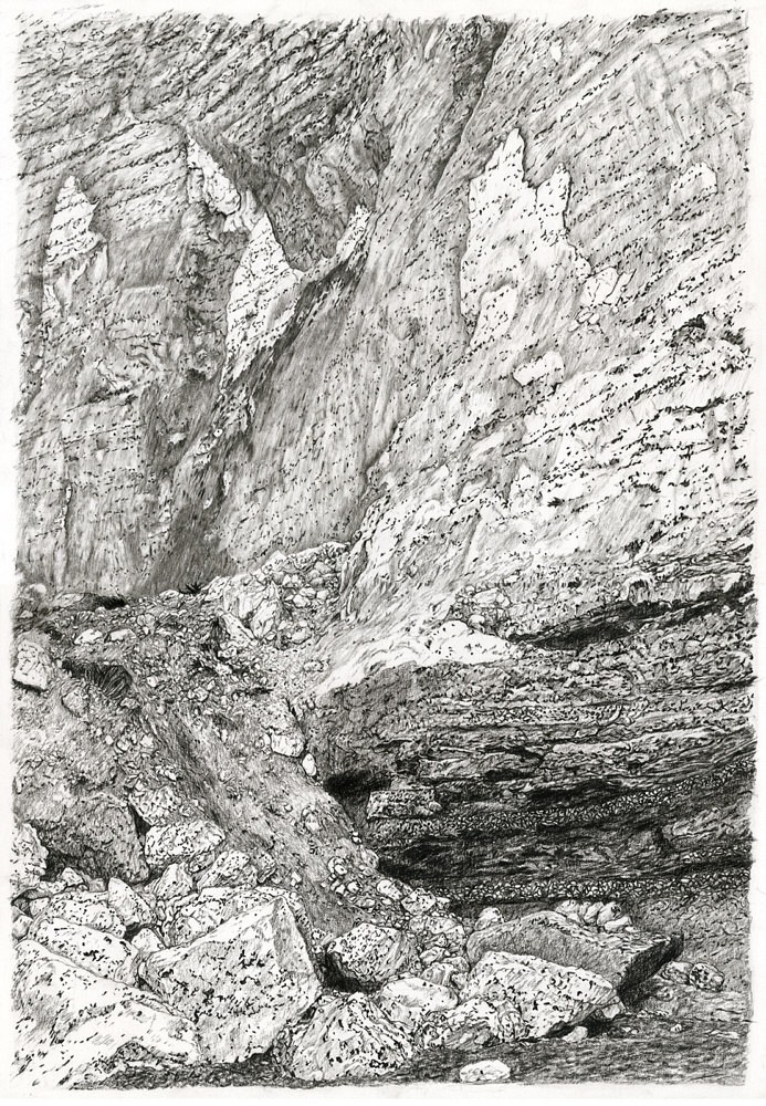 Le Tilleul | Pierre noire et crayon carbone
30x50 cm, 2022